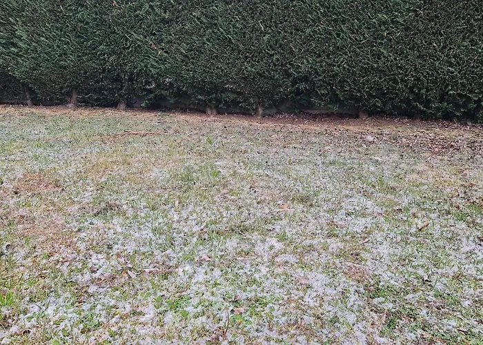 Nel Verde Appartamento